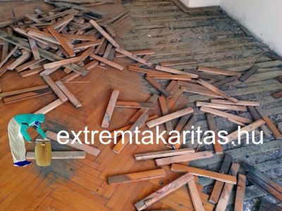 Elhunytak utáni fertőtlenítő takarítás Elhunytak utáni fertőtlenítő takarítás